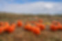 04630-Little Salmon River Farm.jpg