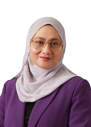 Shahrizan Aini 
Shamsul Khalil 