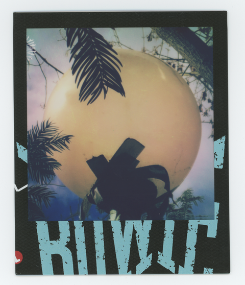 BOW, Context Practice Routine: Homophones