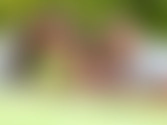 Educação dos filhos - existe certo ou errado?