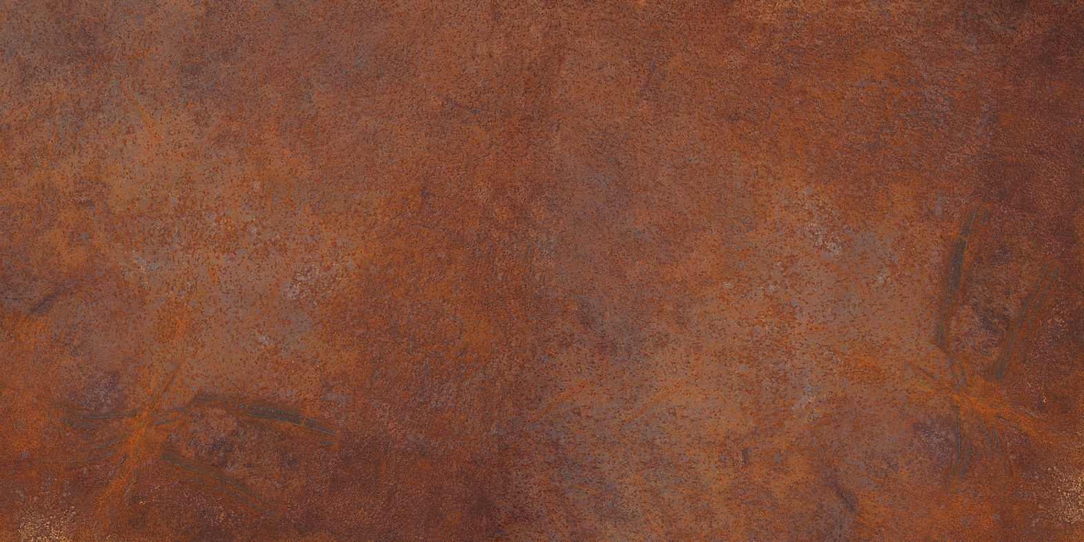 AdobeStock_218764798.jpeg