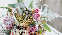 AdobeStock_95915102.jpeg