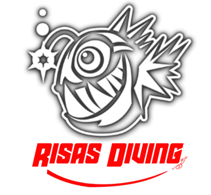 Writer: Risas Diving