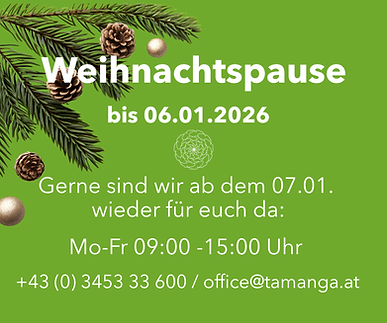 Weihnachtspause .png