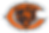 Chicago Bears