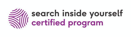 Icone Logo SIY Certified program