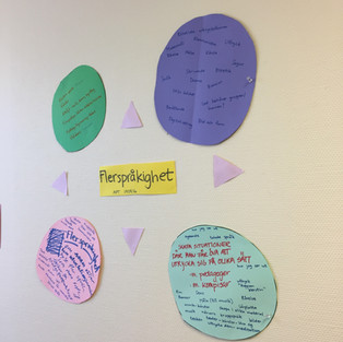 Förskolans egna fokusområden