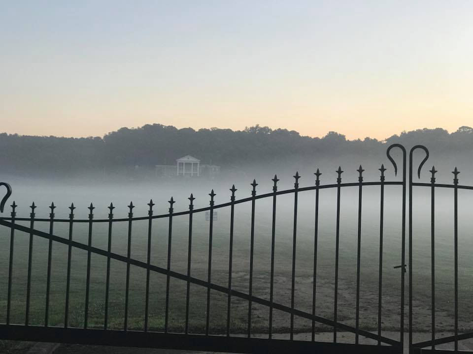 A Beautiful Foggy Morning
