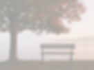 brown wooden bench under shade of tree during daytime_edited.jpg