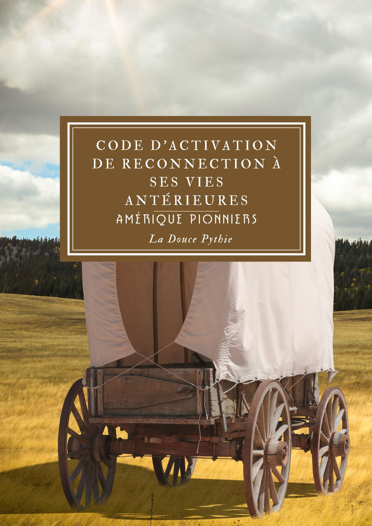 Past Life Reconnection America Pioneers