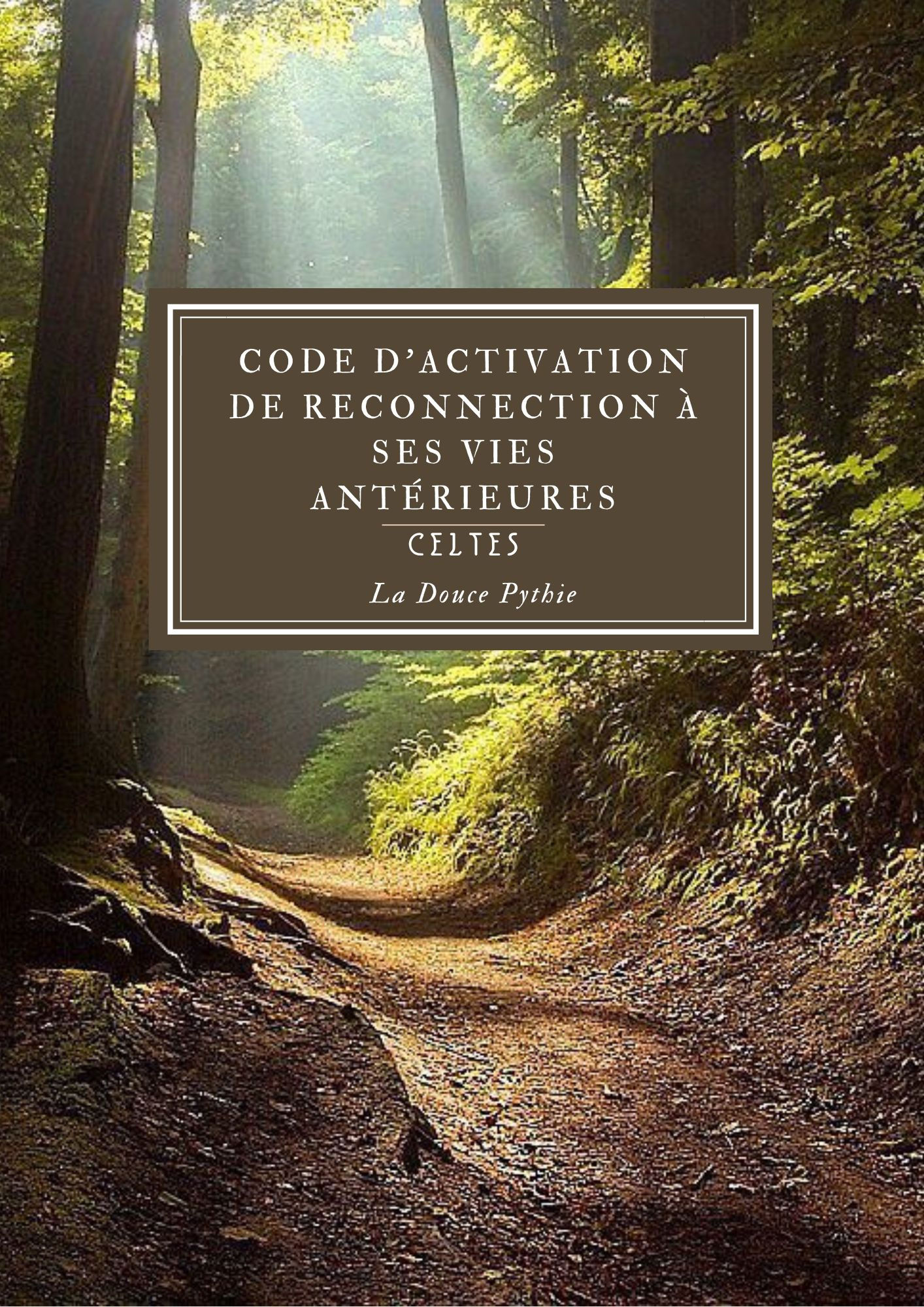 Reconnecting to CELTIC past lives