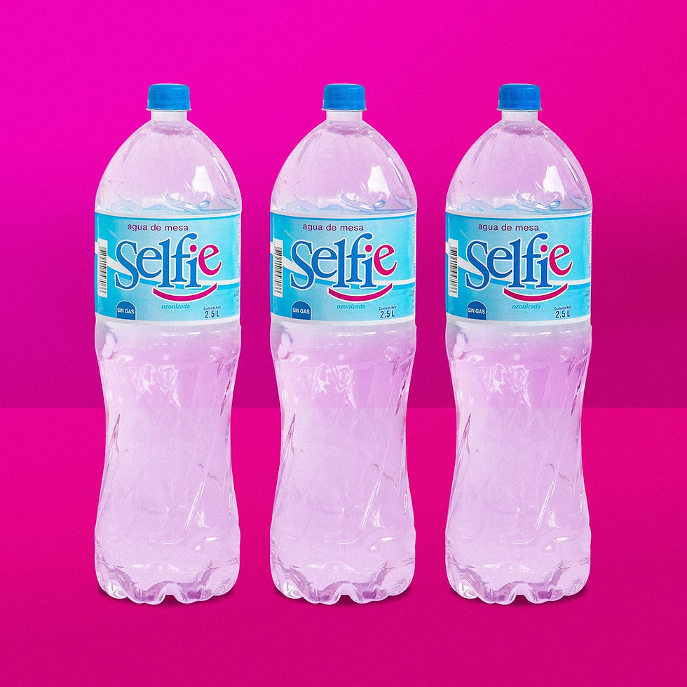 Selfie  2.5 Lt