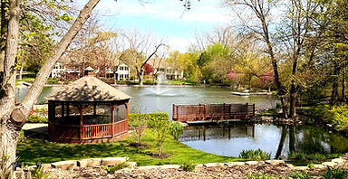 Pre-Event Backyard 5_edited.jpg