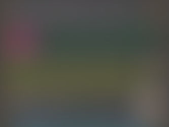 Weekly Notices wk beg 1st December 2025