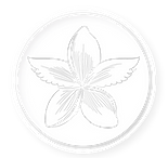 OliviaSimeoni-Logo-fond-couleur.png