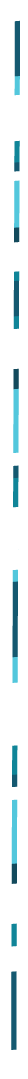 strip.gif