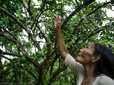 In Photos: Amazon Women on the Frontlines of Climate Change Impacts and Solutions