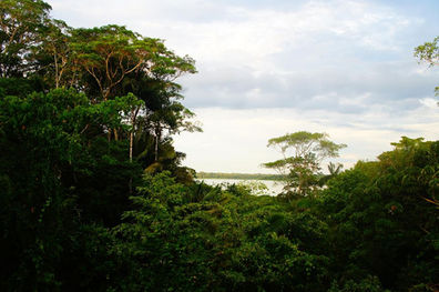 Uplifting Rights of Nature to Protect Our Living Earth: 2016 WECAN Training Recap