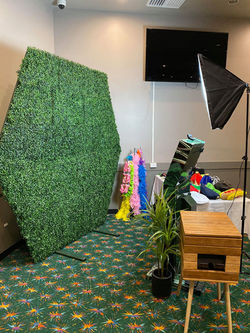 Green Wall Backdrop