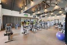 Modern fitness center with high ceilings, cardio machines, and weightlifting equipment.