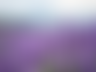 Discover the Allure of Wild Lavender in Perfume.