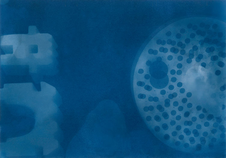 Lee Shaul cyanotype 13