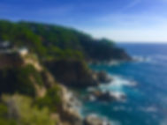 IMG_5205.jpeg