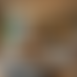 Understanding Colour Theory in Interior Design