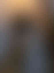 Gold parrot wall mounted candlesticks