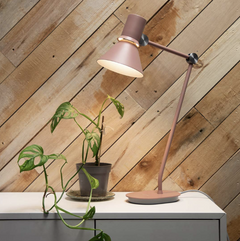 A soft pink lamp on a white sideboard decorated with a cheese plant