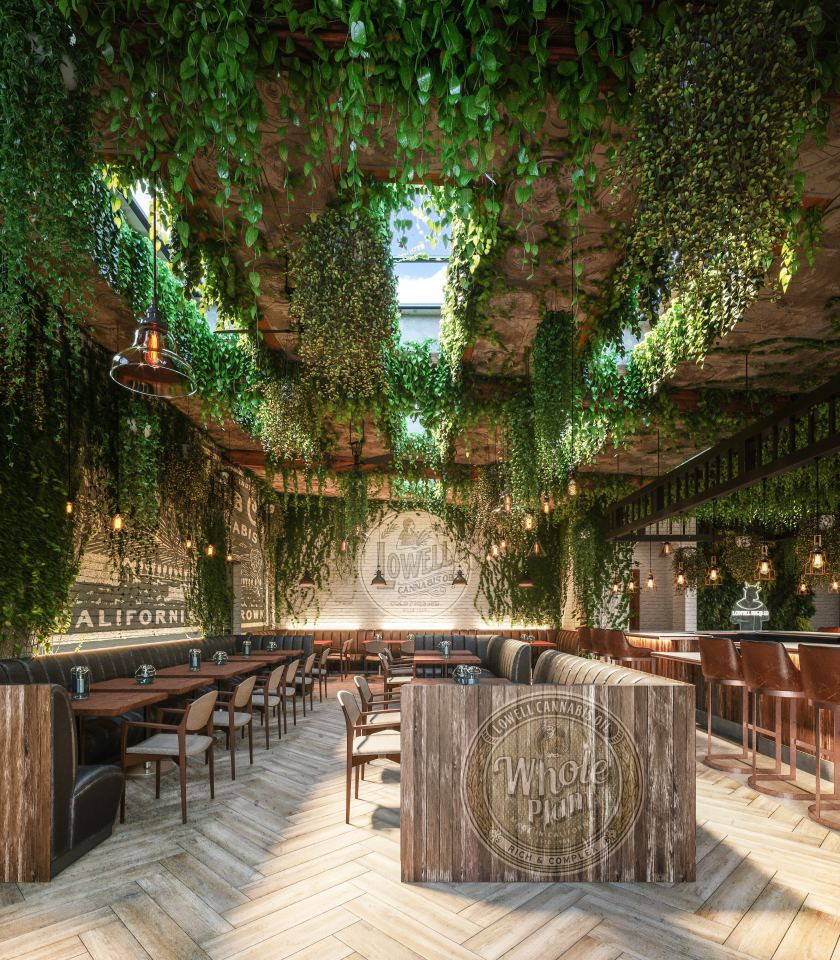 Cannabis Cafe to Open in Hollywood