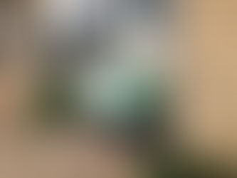 Virginia Garden Stores Swamped by Would-Be Cannabis Growers