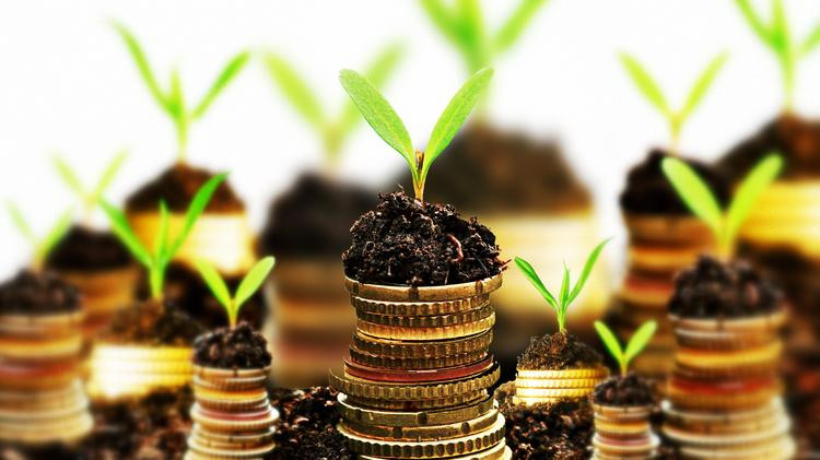 San Diego Cannabis Tech Accelerator