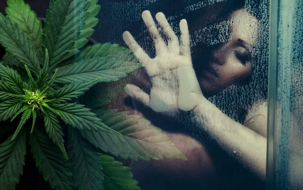 Sex Exploding For Female Stoners