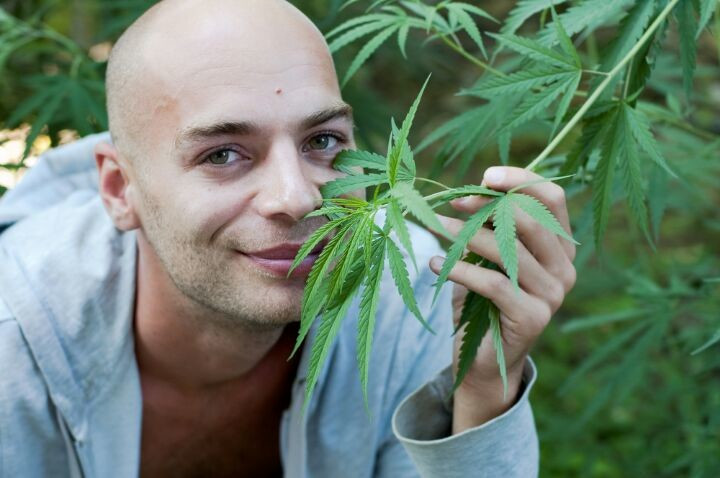Marijuna cancer opiods