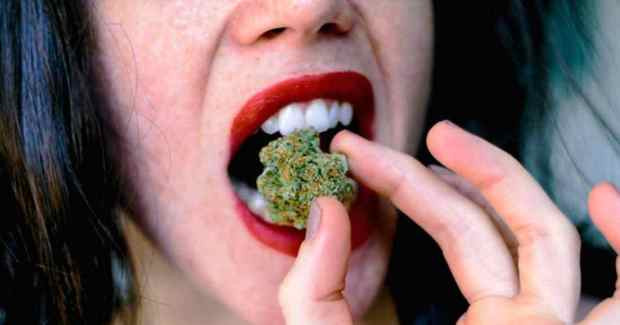 Can Eating Raw Cannabis Get You High?