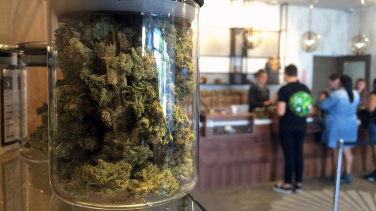 Black market cannabis