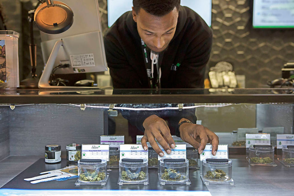 Marijuana Nevada vs Trump