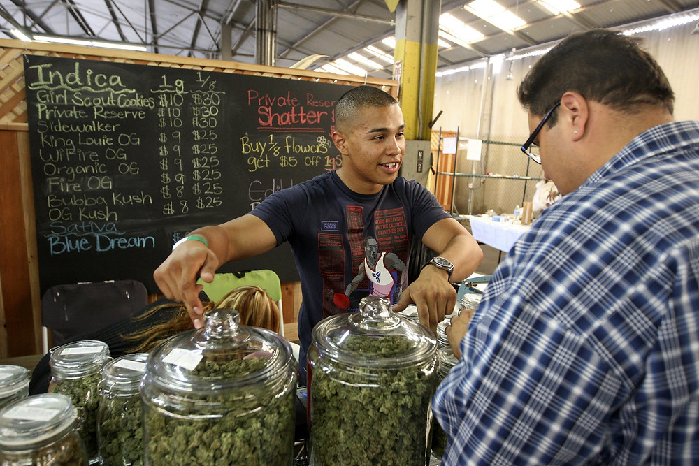 Cannabis Compliance is Critical