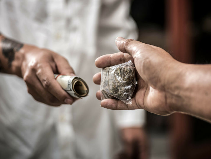 The Cannabis Black Market Epidemic