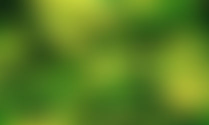 Congress Approves Measure Allowing CBD Use By Military Service Members