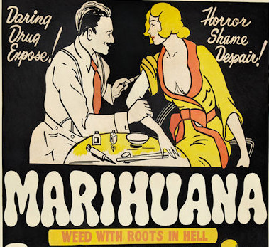 Why you must stop calling it "marijuana"