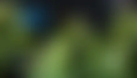 The Evolution of Cannabis Research and Its Impact on the Future