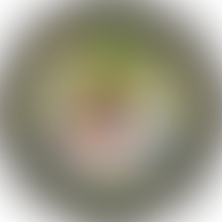 Justice Department Going After Medical Marijuana