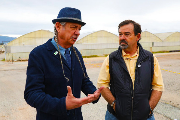 Harborside Farms