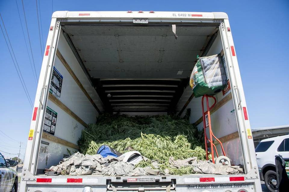 Cannabis Company Sues Over Seizure of Hemp in Idaho