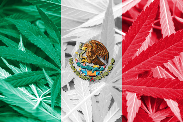 Mexico’s Legalization of Hemp and Cannabis Could Impact US Markets