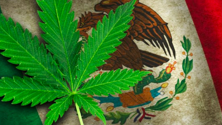 Mexican Supreme Court: "Ban on Marijuana Unconstitutional"