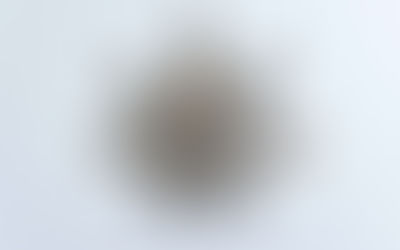 Is California’s Cultivation Tax Cut Too Little, Too Late?