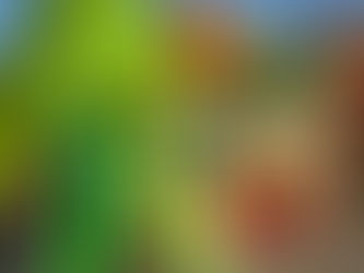 First State-Licensed Adult-Use Marijuana Dispensaries Now Open in City of Los Angeles